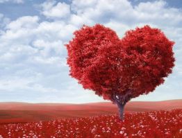 red-heart-tree