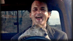 groundhog2